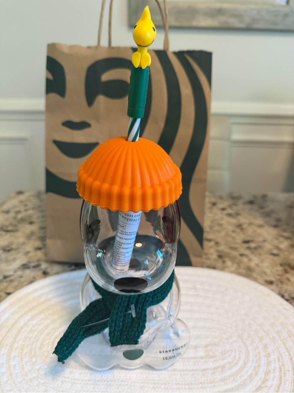 Authentic Starbucks Snoopy  Orange Lid  Glass Tumbler and Green Scarf